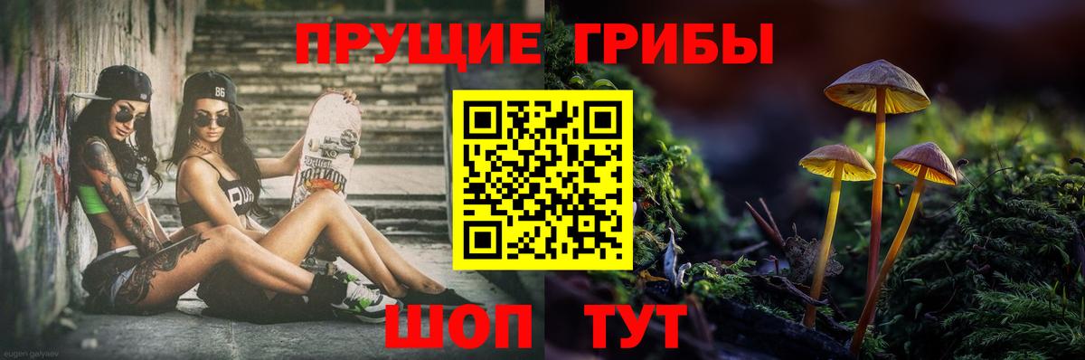 Галлюциногенные грибы Psilocybe Саранск